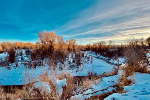 Wyoming Family Holiday