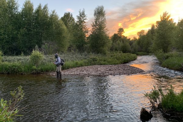 Wyoming Family Vacation Rental