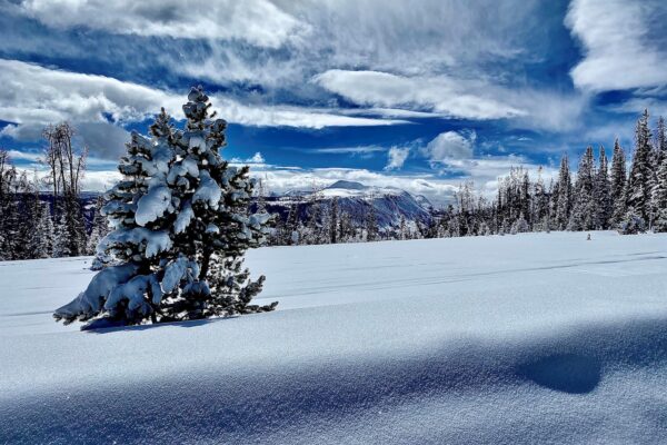 Utah Snowmobiling Lodge 2