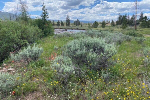Uinta Mountain Lodge 4
