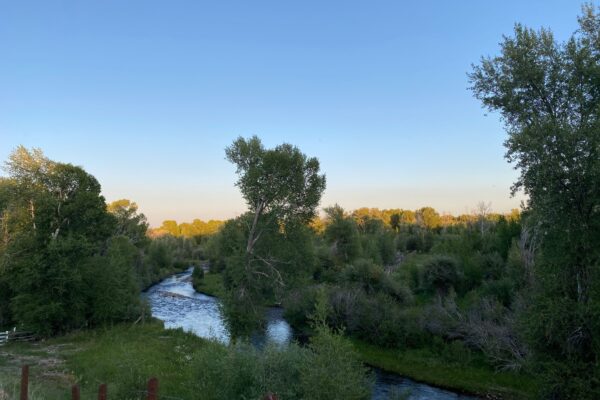 Wyoming Family Vacation